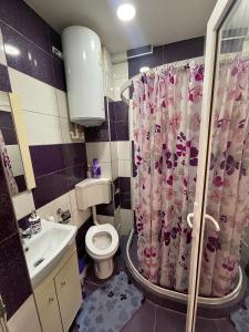 un bagno con un water e una tenda da doccia di Cozy studio tiglina a Galaţi