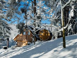 une cabine dans les bois dans la neige dans l'établissement Romantic cabin with hot/cold tub and finnish sauna, à Šentvid pri Stični