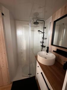 La salle de bains est pourvue d'un lavabo et d'une douche en verre. dans l'établissement Romantic cabin with hot/cold tub and finnish sauna, à Šentvid pri Stični