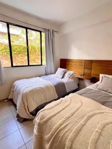 a bedroom with two beds and a window at Departamento de 2 dormitorios, Excelente ubicación in Mendoza +8 photos