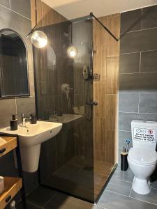 een badkamer met een douche, een wastafel en een toilet bij Adora's Apartment Mavrovo in Mavrovo