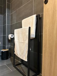 twee handdoeken hangend aan een handdoekenrek in een badkamer bij Adora's Apartment Mavrovo in Mavrovo