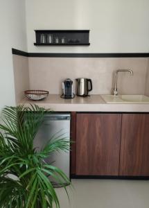 Kuchyň nebo kuchyňský kout v ubytování Pnoe Eco Residences