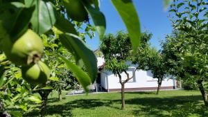 Gallery image of Apartment Cecilia Koprivnica in Koprivnica