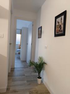 un couloir avec une plante en pot dans une pièce dans l'établissement Hierro, à Frontera