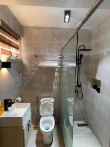 y baño con ducha, aseo y lavamanos. en Luxury 2 Bedroom Apartment in the Heart of WUSE 2, WIFI,NETFLIX, 24hrs Light en Abuja