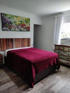 ein Schlafzimmer mit einem Bett mit einer roten Decke in der Unterkunft Sitio alice e flora in Itapevy