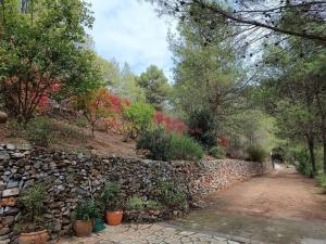 Photo de la galerie de l'établissement Villa Victoria, à Cómpeta