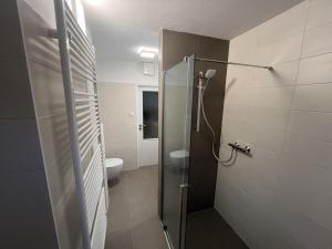 a bathroom with a shower and a toilet at Apartment Lužné in Luhačovice