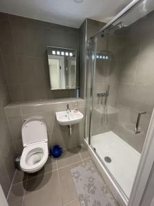 ロンドンにあるBright two bedrooms apartmentのバスルーム(トイレ、洗面台、シャワー付)
