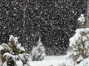 a snow storm in a yard with trees and bushes at Harmony Resort in Tsaghkadzor