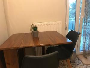 a wooden table with chairs and a potted plant on it at Sofy's House in Paleo Tsifliki