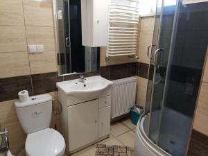 uma casa de banho com um WC, um lavatório e um chuveiro em Pokoje Goscinne Buzuki em Ciechanów