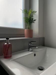 a bathroom sink with a soap dispenser and a plant at 4@No.4. A cosy spot for 4 and one furry friend in Cawood