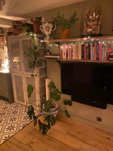 sala de estar con TV y estante de libros en Boutique Townhouse, en Christchurch