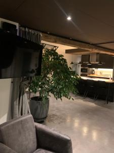 Kuchyň nebo kuchyňský kout v ubytování Froissart Loft et Studio