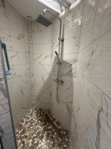 a shower in a bathroom with white tiles at appartement moderne et confort in Châtillon-sur-Seine