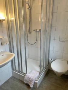 y baño con ducha, aseo y lavamanos. en Gasthof Rhönlust, en Bischofsheim an der Rhön
