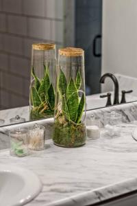 two glass vases with plants in them on a bathroom counter at ATV Trailer Parking/NEW/5 min to Natural Bridge in Campton +39 photos