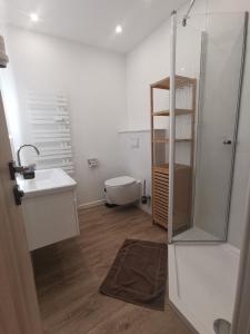y baño con aseo, lavabo y ducha. en Apartmenthaus Atlantik, en Kühlungsborn