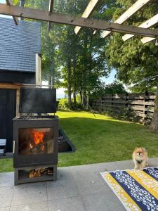 a dog sitting next to a fireplace in a yard at Rowanlea Lodge With Hot Tub in Marykirk