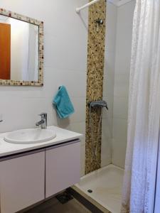 a bathroom with a sink and a shower at La Asunción 114 in Luján