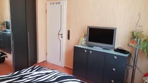 een slaapkamer met een televisie op een dressoir met een bed bij ALACARD Ferienwohnungen Höffgen Thale Harz in Thale +4 foto's