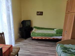 uma sala de estar com duas camas e uma televisão em Pokoje Goscinne Buzuki em Ciechanów