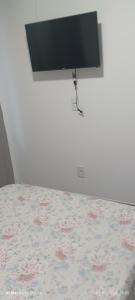 TV/trung tâm giải trí tại Canto da Natureza