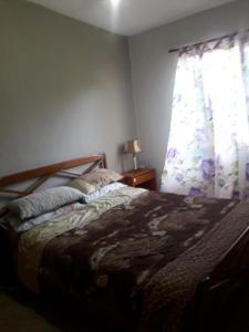 - une chambre avec un lit et une fenêtre avec des rideaux dans l'établissement Alojamiento en Santa María de Punilla, à Santa María