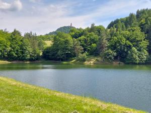 a lake in the middle of a grassy field at BIKE apartments 3 in Hodruša