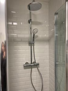 La salle de bains est pourvue d'une douche avec un pommeau de douche. dans l'établissement LE BON ENDROIT en bord de mer, vue mer , parking et wifi, à Wimereux