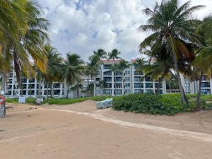 un gran edificio en la playa con palmeras en Two-bedroom Oceanfront Penthouse at Rio Mar, en Río Grande