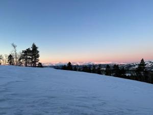 una pendiente cubierta de nieve con árboles en el horizonte en Sveheim - cabin with an amazing view, en Flå