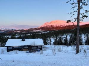 una cabina con tetto ricoperto di neve in un campo innevato di Sveheim - cabin with an amazing view a Flå