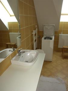 a bathroom with a sink and a small refrigerator at Hunyadi Apartment in Kalocsa