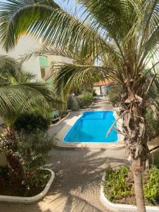 a pool with a palm tree next to a building at Apartamento T3 encantador com piscina wifi e perto de praia in Santa Maria