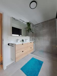 a bathroom with a sink and a shower with a mirror at Hotel Apartments Belgium 5 - HAB 5 in Balen