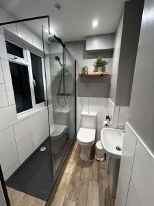 a bathroom with a shower and a toilet and a sink at Sanctuary-by-Sea in Worthing