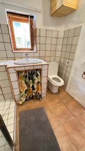 een badkamer met een wastafel en een toilet bij Casas cuevas, Los Cabucos in Agaete