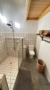 een badkamer met een douche en een toilet bij Casas cuevas, Los Cabucos in Agaete