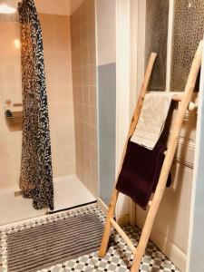 a wooden ladder in a bathroom with a shower at Maison de Maître en plein centre in Perpignan