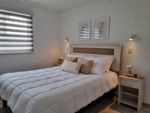 Un dormitorio con una gran cama blanca y una ventana en Hostal Chucaita Puerto Cisnes en Puerto Cisnes