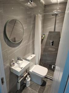 a bathroom with a toilet and a sink and a mirror at Private One Bedroom Flat in Barnet, London in Finchley