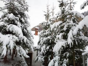 a snow covered tree in front of a house at Casa Iulia in Braşov