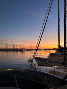 a group of boats docked in a marina at sunset at Maser II ( Excelente Mini Yate ) in Valencia