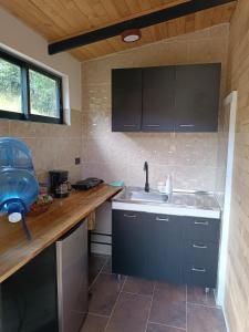 a kitchen with a sink and a counter at Glamping Caelum. Refugio al aire libre, en Macheta Cundinamarca in Machetá