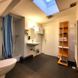 ein Bad mit einem WC und einem Waschbecken in der Unterkunft Hotel Ariana in Köln