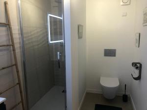 een witte badkamer met een douche en een toilet bij Les rives de Port Neuf in Saint-André-de-Cubzac