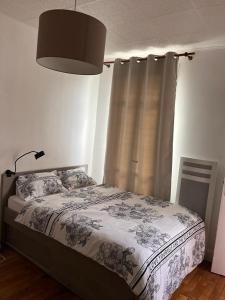 a bedroom with a bed with a curtain and a lamp at chambre d'hote in Issy-les-Moulineaux